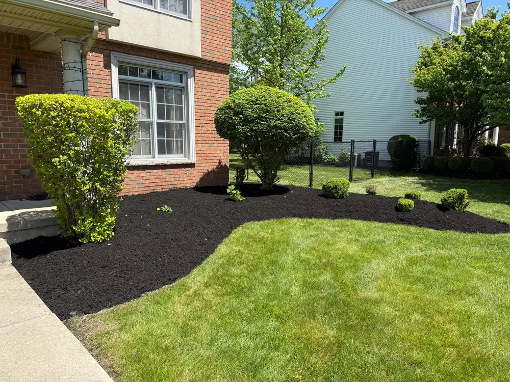 Fresh black mulch bed edged into the lawn at a brick home in Buffalo NY