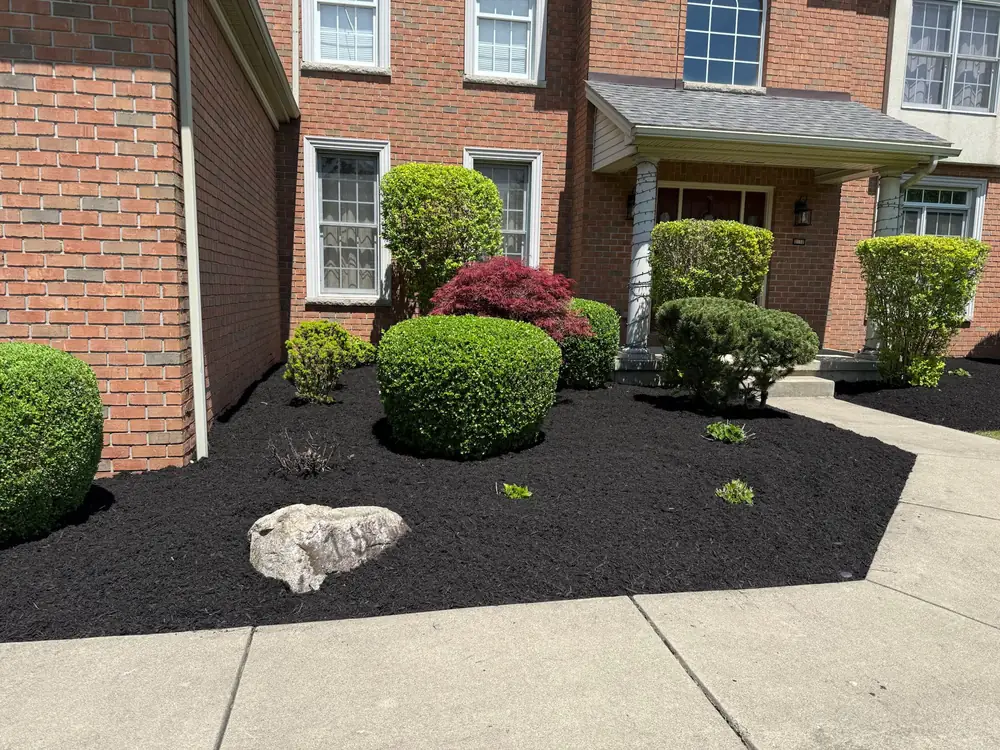 Landscape bed with a boulder accent and layered shrubs at a Buffalo NY home