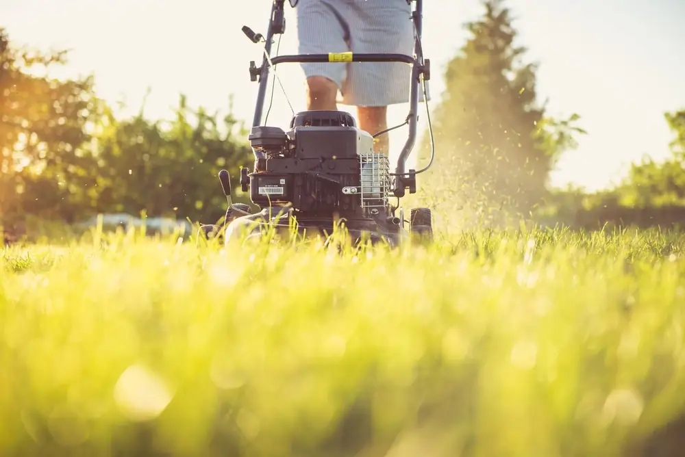 Lawn Mowing in Buffalo NY