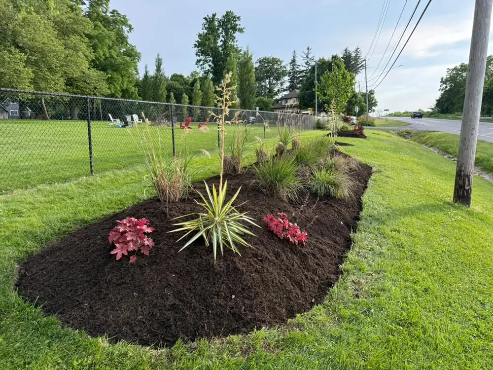 New planting bed with ornamental grasses and perennials in Buffalo NY
