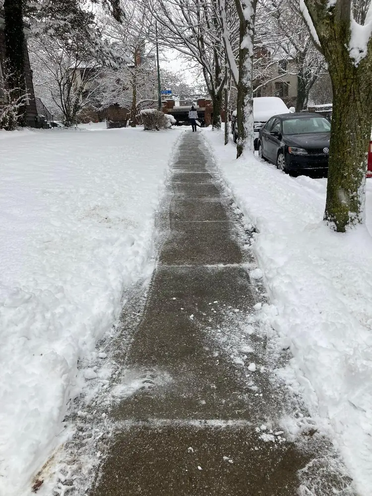 Public sidewalk cleared along a tree lined Buffalo NY street