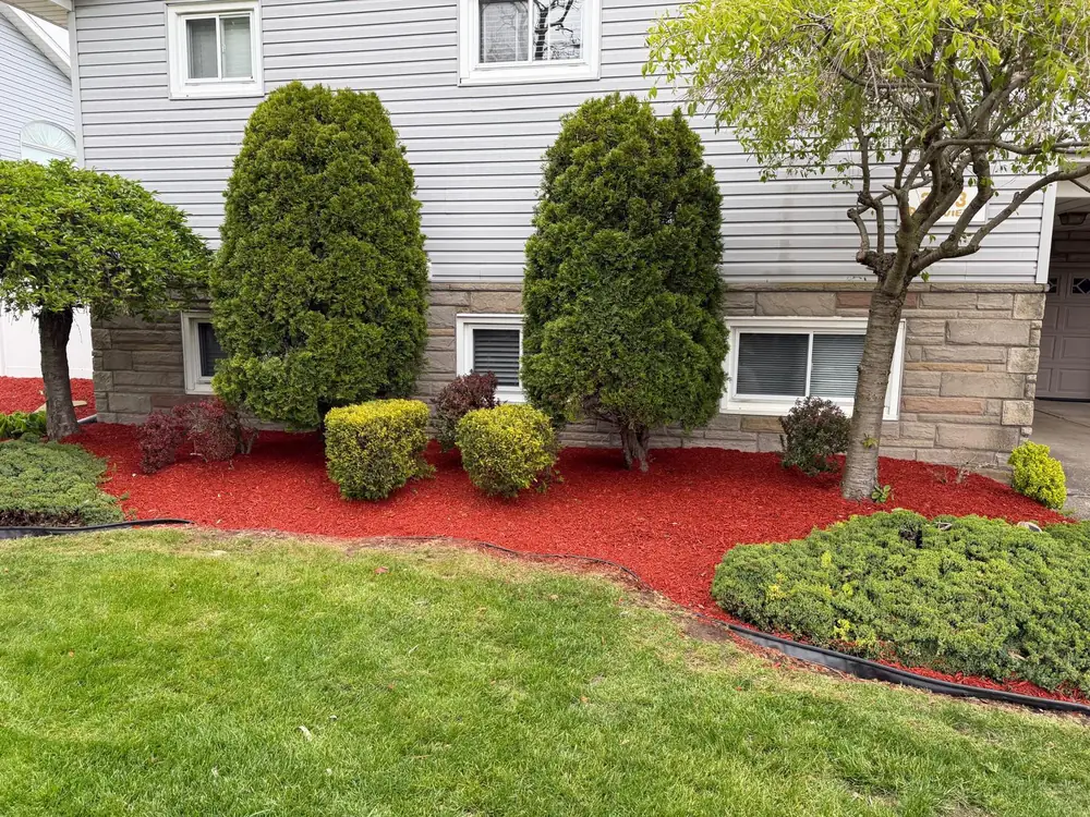Red mulch bed and trimmed foundation shrubs at a home in Buffalo NY