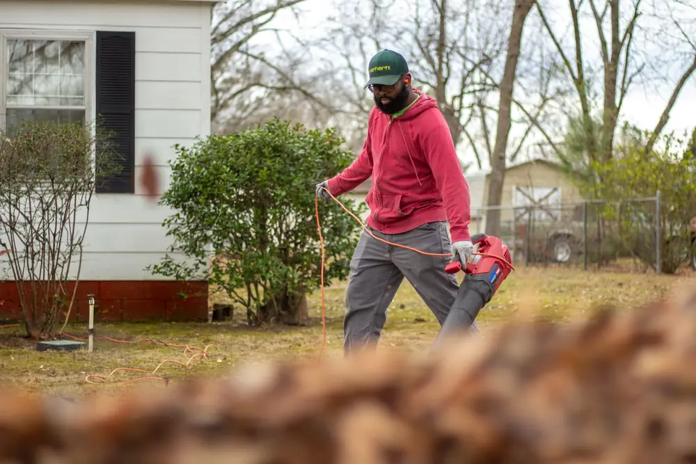 Spring Cleanup in Buffalo NY