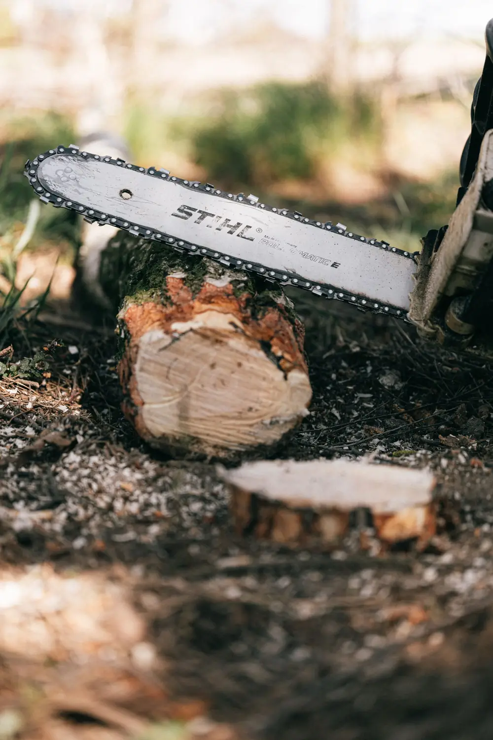 Stump Grinding in Akron NY