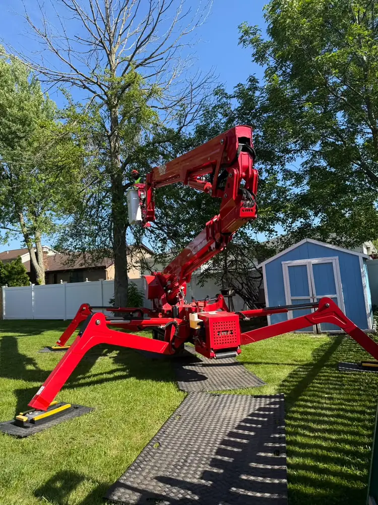Tracked spider lift set up on a lawn for a tree removal in Buffalo NY