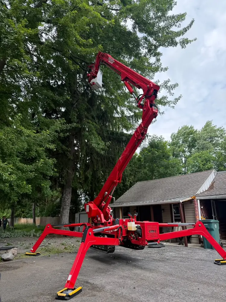 Spider lift reaching into a mature tree canopy for trimming in Buffalo NY